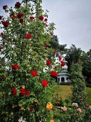 バガテル公園.jpg