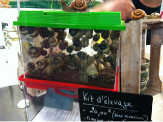 image-20120303231018.png