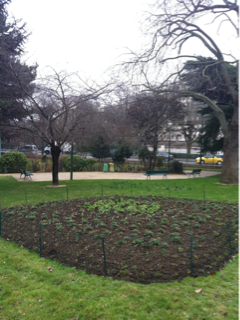 image-20120304105753.png