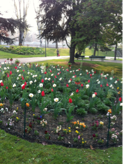 image-20120406124340.png