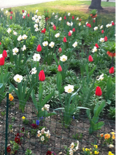 image-20120406124412.png
