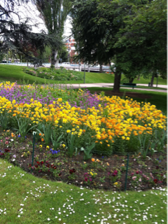 image-20120508192859.png