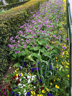 image-20120508192924.png