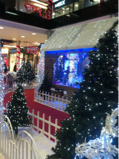 image-20121130121942.png