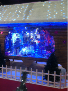 image-20121130122011.png